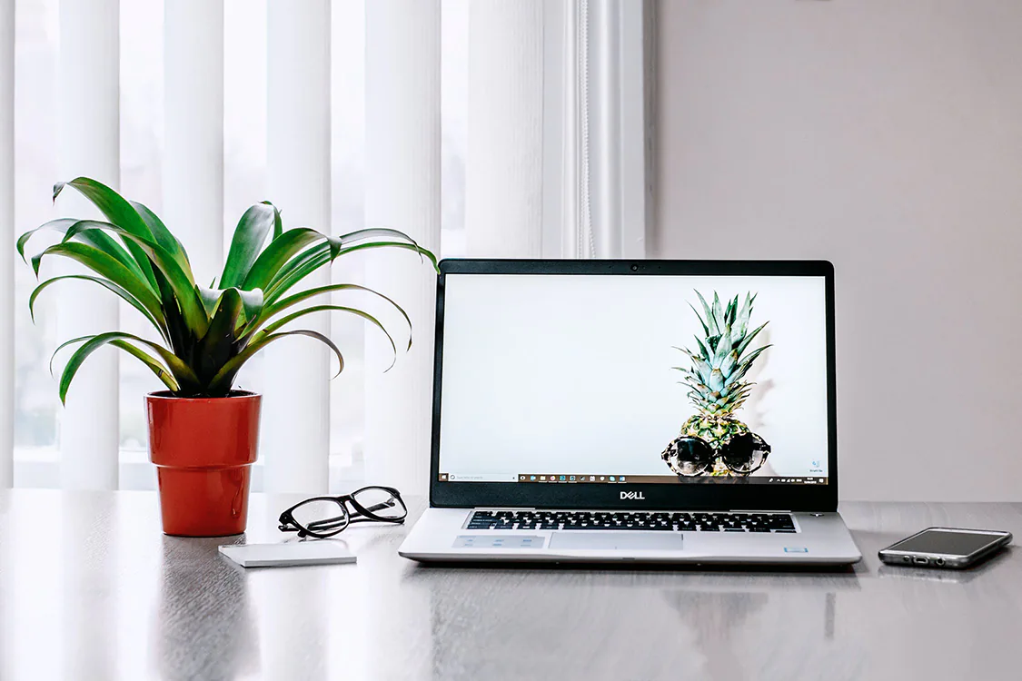 Laptop with Pineapple and Plant